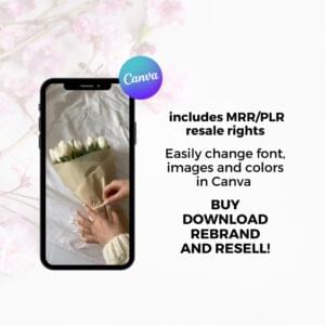 8000+ Faceless Reels Bundle PLR MRR – Viral Aesthetic Videos for Digital Marketing